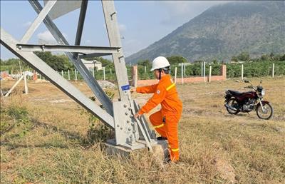 Bài 2: Người thắp lửa “văn hóa an toàn” nơi tuyến đầu truyền tải điện