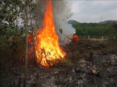 Hiệu quả ứng dụng trí tuệ nhân tạo trong công tác kiểm soát cháy rừng đảm bảo an toàn lưới điện truyền tải.