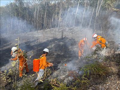 Truyền tải điện Thừa Thiên Huế phát hiện nhanh, xử lý sớm đám cháy gần hành lang lưới điện tại xã Thủy Bằng (TP. Huế)