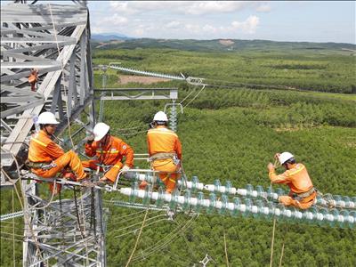 Truyền tải điện Quảng Trị hoàn thành sửa chữa đường dây 500kV trước mùa mưa bão