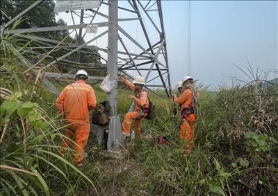 Truyền tải điện Quảng Ngãi hoàn thành sửa chữa đường dây 220kV Dốc Sỏi - Quảng Ngãi 