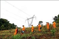 Đội truyền tải ở nơi xuân chạm đất trời