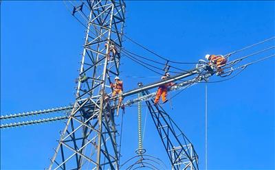 PTC3 đồng bộ giải pháp, quyết tâm đảm bảo vận hành an toàn lưới điện dịp Noel và Tết Dương lịch