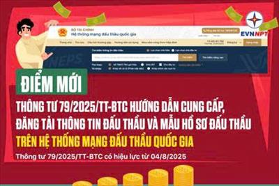 Điểm mới của Thông tư 79/2025/TT-BTC: Đơn giản nhiều thủ tục, quy trình đấu thầu