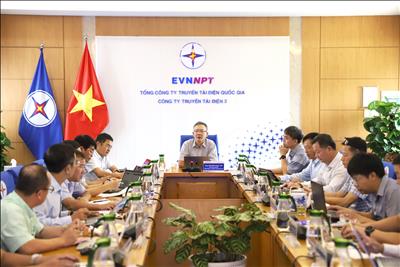 Phó Tổng Giám đốc EVNNPT Nguyễn Ngọc Tân kiểm tra công tác đầu tư xây dựng năm 2025 tại Công ty Truyền tải điện 3