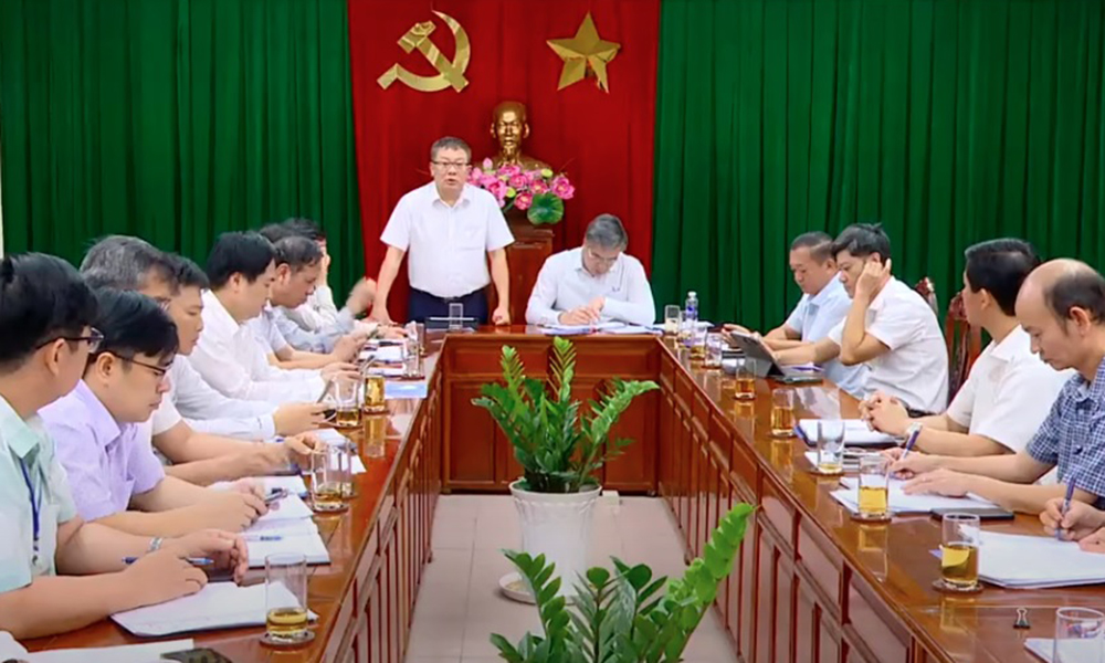 Đồng Nai: Tập trung giải quyết các vướng mắc về mặt bằng cho các dự án truyền tải điện